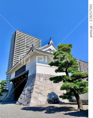 秋晴れの青空と松葉の緑に彩られた岡崎城大手門を見上げる〈岡崎城公園/愛知県岡崎市〉 119257591