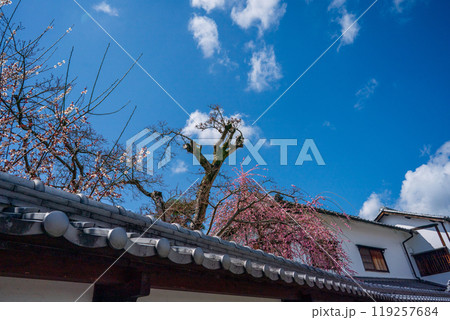 奈良県五條市の国の重要伝統的建造物群保存地区に指定されている古い街並みの新町通りを撮影 119257684