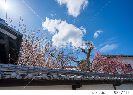奈良県五條市の国の重要伝統的建造物群保存地区に指定されている古い街並みの新町通りを撮影 奈良県五條市の国の重要伝統的建造物群保存地区に指定されている古い街並みの新町通りを撮影 119257718