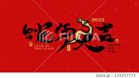 2025 アジア人 アジアン 119257773