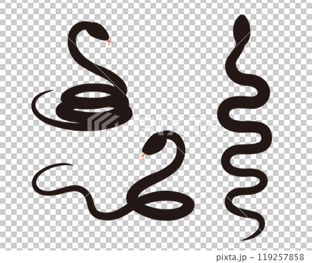 Snake silhouette New Year's card material Year of the snake Snake silhouette New Year's card material Year of the snake 119257858