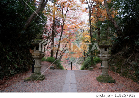 愛知県豊田市_香嵐渓_香積寺5_2023年12月 119257918
