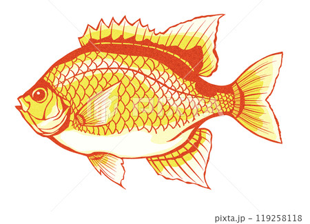 綺麗な魚スズメダイの切り絵イラスト 119258118