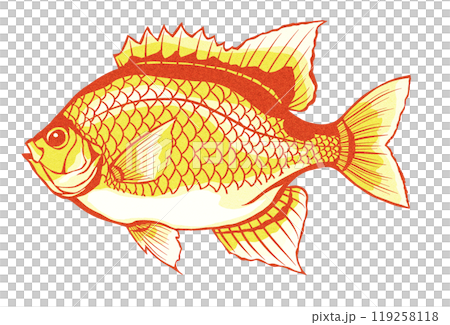 美麗的魚雀鯛的剪圖 119258118