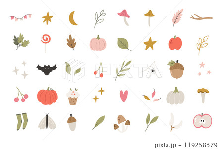 Hand Drawn Autumn Icons. Cozy Fall Leaves, Mushrooms, Berries and Nature Elements 119258379