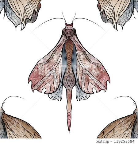 A pattern with harmonious butterfly shapes leaves A pattern with harmonious butterfly shapes leaves 119258584