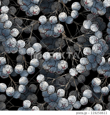 A pattern with berries on a black background 119258611