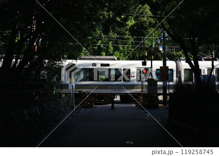 【京都嵐山】野宮神社付近の踏切を通過する普通電車 【京都嵐山】野宮神社付近の踏切を通過する普通電車 119258745