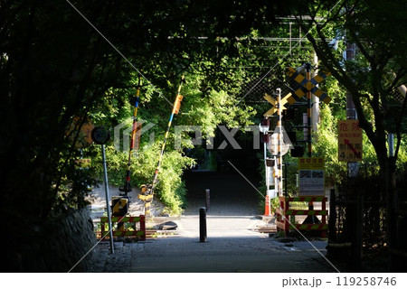 【京都嵐山】野宮神社付近　木のトンネル 119258746