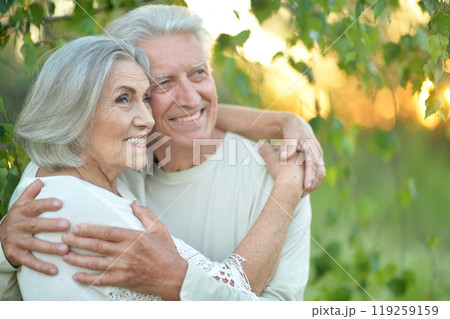 Portrait of beautiful senior couple posing in the park 119259159