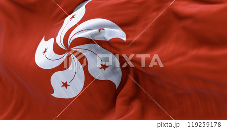 Close-up of Hong Kong flag waving in the wind 119259178