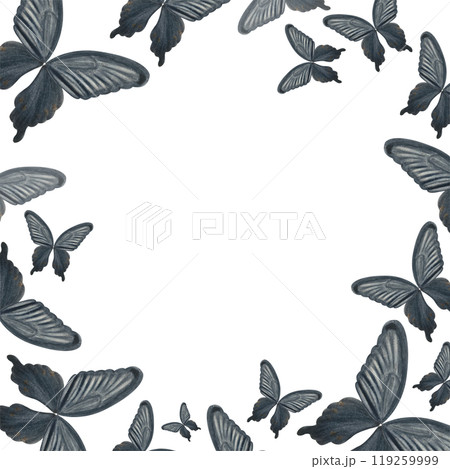 Black butterfly hand painted watercolor square frame isolated on white. High quality illustration perfect for scrapbooking, posters, cards, pillows, stickers design. Black and white 119259999