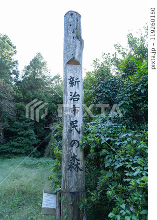 新治市民の森 119260180