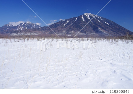 冬の奥日光戦場ヶ原と男体山・大真名子山・小真名子山 119260845