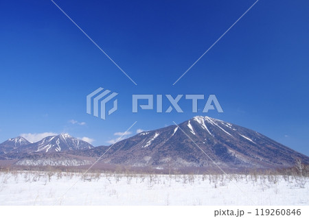 冬の奥日光戦場ヶ原と男体山・大真名子山・小真名子山 119260846