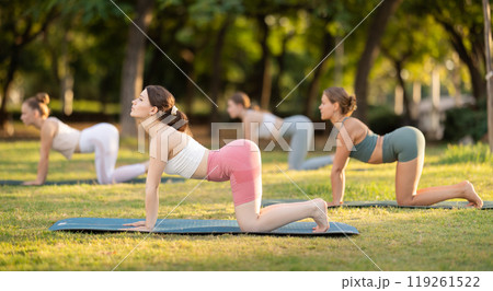 Yoga lesson visitors girls perform Marjariasana in park Yoga lesson visitors girls perform Marjariasana in park 119261522