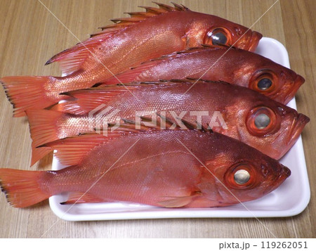 チカメキントキダイが釣れました チカメキントキダイが釣れました 119262051