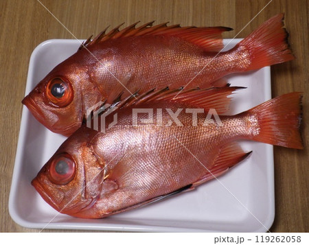 チカメキントキダイが釣れました チカメキントキダイが釣れました 119262058