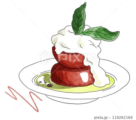 モッツァレラチーズとトマトのサラダ モッツァレラチーズとトマトのサラダ 119262168