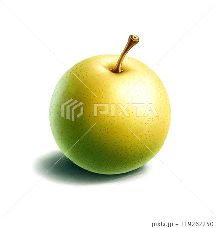 梨のイラスト素材 119262250