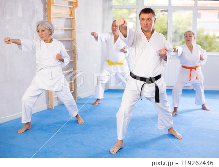 Senior students perform basic movements and repeat to hold pose, learning technique of kata Senior students perform basic movements and repeat to hold pose, learning technique of kata 119262436