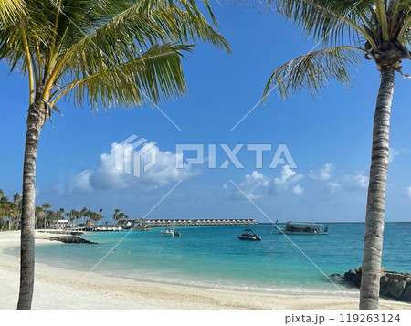 砂浜と青空と海 seaside 砂浜と青空と海 seaside 119263124