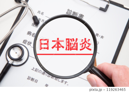 日本脳炎 日本脳炎 119263465