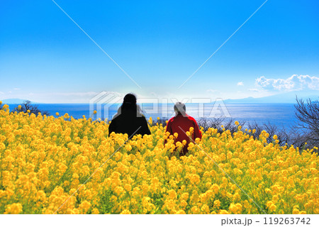 関東・吾妻山公園・春の訪れを告げる菜の花ときらめく海を楽しむ観光のイメージ・神奈川県二宮町(4) 関東・吾妻山公園・春の訪れを告げる菜の花ときらめく海を楽しむ観光のイメージ・神奈川県二宮町(4) 119263742
