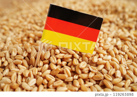 Germany flag on grain wheat, trade export and economy. Germany flag on grain wheat, trade export and economy. 119263898