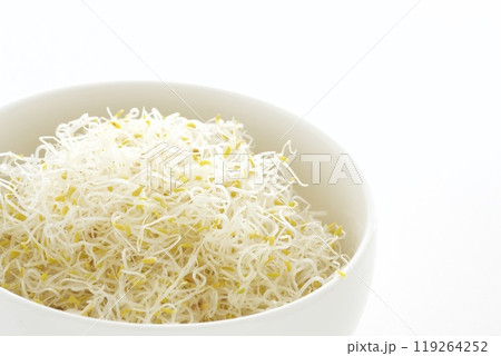 アルファルファのヘルシーサラダ 119264252