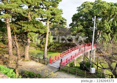 愛知県　岡崎公園の龍城堀と神橋 119264373