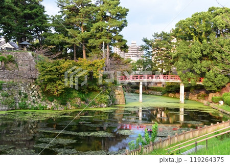 愛知県　岡崎公園の龍城堀と神橋 119264375