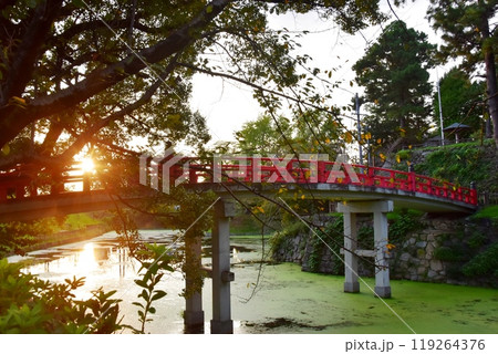 愛知県　岡崎公園の龍城堀と神橋 119264376
