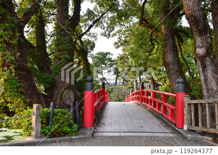 愛知県　岡崎公園の龍城堀と神橋 119264377