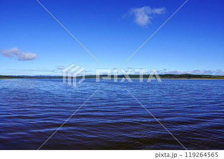 生花苗沼 生花苗沼 119264565