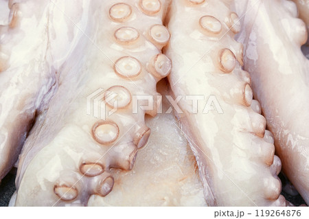 Whole frozen octopus. Whole frozen octopus. 119264876