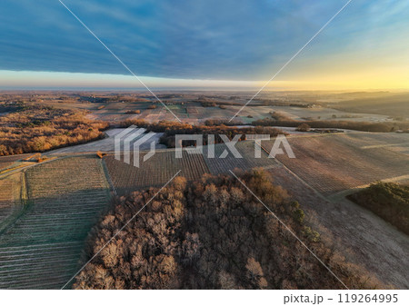 Aerial view of Bordeaux vineyard in winter at sunrise, Rions, Gironde, France 119264995