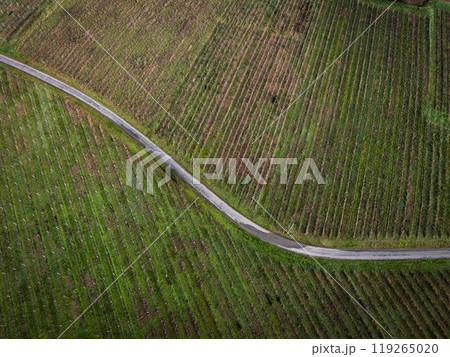 FRANCE, GIRONDE, SAINTE CROIX DU MONT, WINDING COUNTRY ROAD THROUGH THE BORDEAUX VINEYARDS IN WINTER FRANCE, GIRONDE, SAINTE CROIX DU MONT, WINDING COUNTRY ROAD THROUGH THE BORDEAUX VINEYARDS IN WINTER 119265020