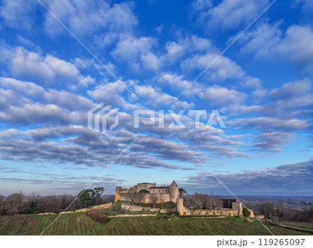 FRANCE, GIRONDE, PORTE DE BENAUGE, BENAUGE CASTLE AND ITS VINEYARDS IN WINTER, AOC CADILLAC COTES DE FRANCE, GIRONDE, PORTE DE BENAUGE, BENAUGE CASTLE AND ITS VINEYARDS IN WINTER, AOC CADILLAC COTES DE 119265097