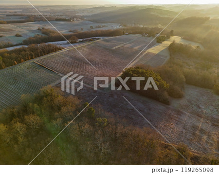 Aerial view of Bordeaux vineyard in winter at sunrise, Rions, Gironde, France Aerial view of Bordeaux vineyard in winter at sunrise, Rions, Gironde, France 119265098