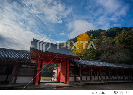 京都府八幡市高良神社で晩秋の黄色に色づいたイチョウを撮影 119265179