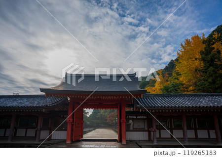 京都府八幡市高良神社で晩秋の黄色に色づいたイチョウを撮影 119265183