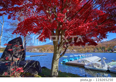 秋の長野県 白樺湖西側湖畔(白樺湖観光センター前のボート乗り場)から東側の眺望 119265250