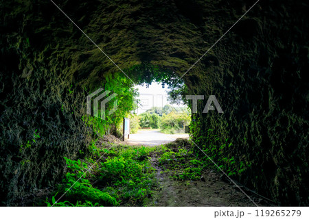 初秋の酸素圧縮ポンプ室壕(大神回天訓練基地) 大分県日出町 初秋の酸素圧縮ポンプ室壕(大神回天訓練基地) 大分県日出町 119265279