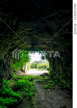 初秋の酸素圧縮ポンプ室壕（大神回天訓練基地）　大分県日出町 119265280