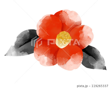 椿の水彩画イラスト 椿の水彩画イラスト 119265337