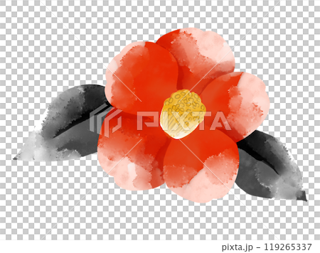 椿の水彩画イラスト 椿の水彩画イラスト 119265337