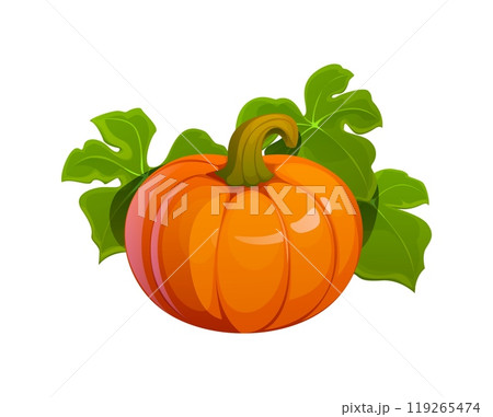 Cartoon autumn pumpkin with lush green leaves. Isolated vector ripe gourd plant with the foliage, symbol of the autumnal harvest, Thanksgiving or Halloween. Vibrant orange pumpkin, fall season plant Cartoon autumn pumpkin with lush green leaves. Isolated vector ripe gourd plant with the foliage, symbol of the autumnal harvest, Thanksgiving or Halloween. Vibrant orange pumpkin, fall season plant 119265474