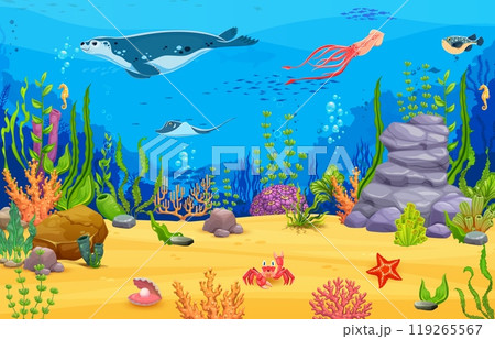 Sea game map, underwater landscape with a variety of marine life, including a seal, stingray, squid, pufferfish, seahorses, crab and vibrant coral reefs at sandy ocean floor with rocks and sea plants 119265567