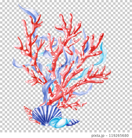 Coral branches with shells and seaweed in watercolor. Isolated monochrome illustration of sea creatures for marine themed event design, textile design, printing, children's parties Coral branches with shells and seaweed in watercolor. Isolated monochrome illustration of sea creatures for marine themed event design, textile design, printing, children's parties 119265680